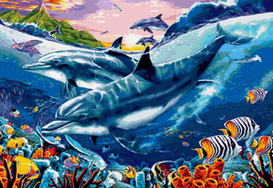 delfini - delfini, animals - предпросмотр