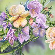 Схема вышивки «анютины глазки»