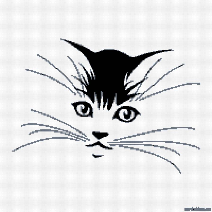 кот или кошка - кошка - предпросмотр