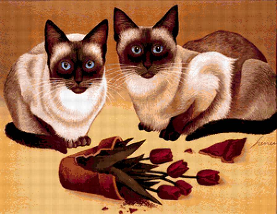 сиамские близнецы - цветы, кошки - предпросмотр