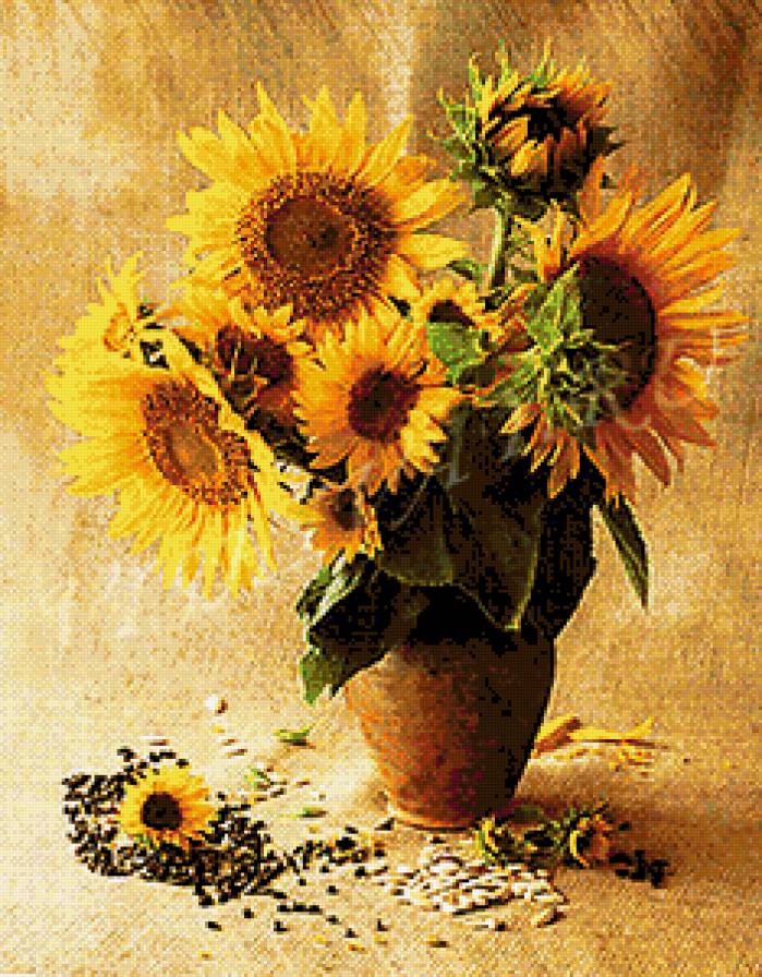 подсолнух - предпросмотр