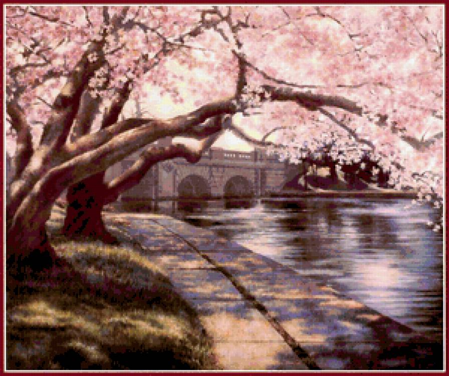 Сакура - сакура, город, дерево, парк, пейзаж, цветы - предпросмотр