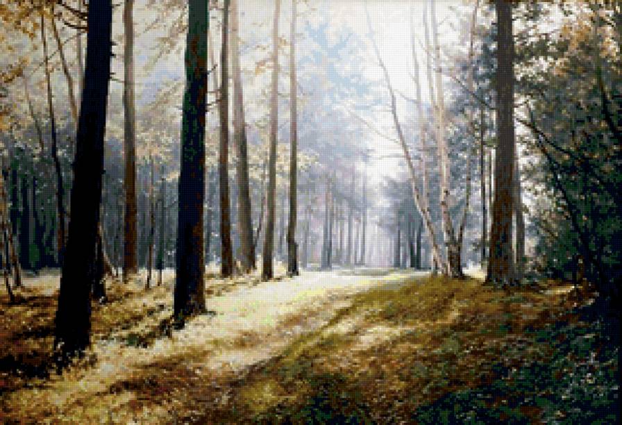 Солнечная опушка - лес, пейзаж, природа, поляна - предпросмотр