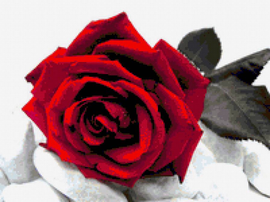 №393883 - предпросмотр