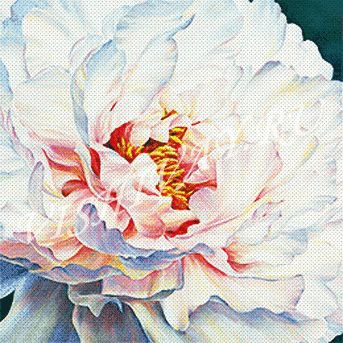 пион - оригинал