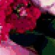 Предпросмотр схемы вышивки «букет» (№394014)