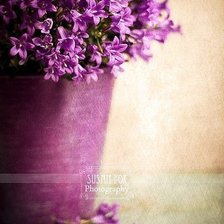 Схема вышивки «цветы»