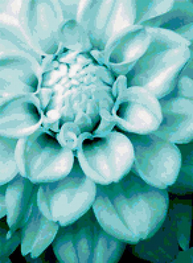 Голубой Цветок - предпросмотр