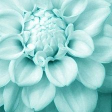 Схема вышивки «Голубой Цветок»