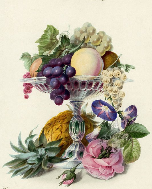 натюрморт - натюрморт - оригинал