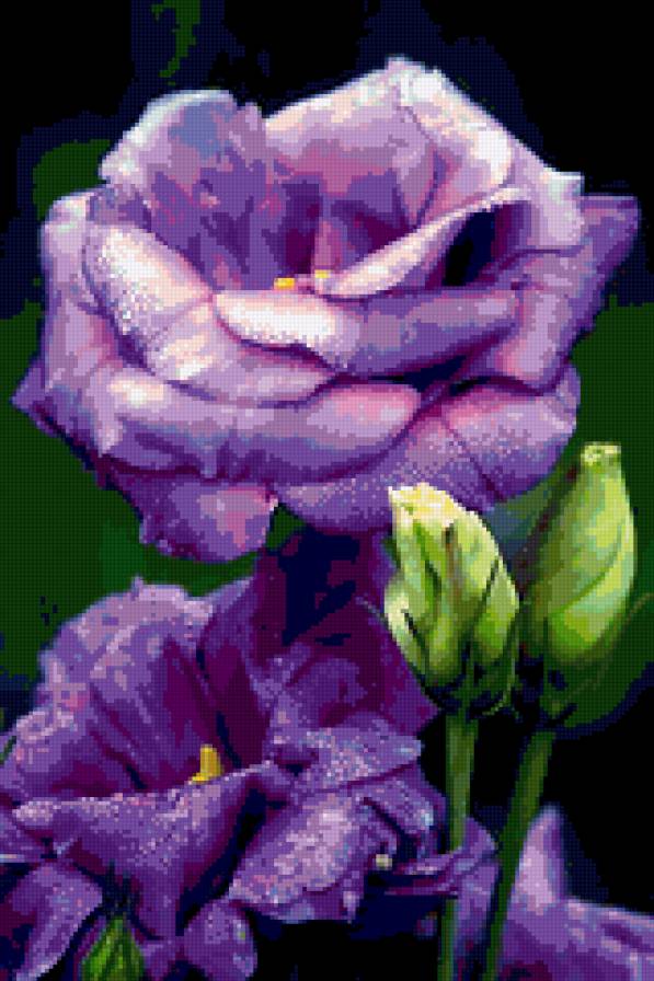 цветы - цветы - предпросмотр