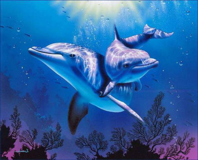 Дельфины - океан, дельфин, море - оригинал