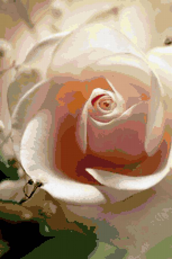 роза - букет, натюрморт, розы, цветы - предпросмотр