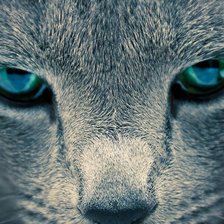 Схема вышивки «взгляд3»