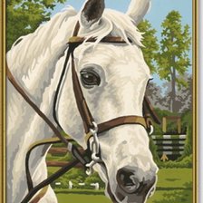 Схема вышивки «белая лошадь»