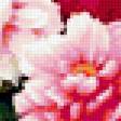 Предпросмотр схемы вышивки «Натюрморт, цветы, розы» (№394696)