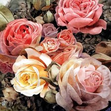 Оригинал схемы вышивки «Подушка "Цветы", розы» (№394698)