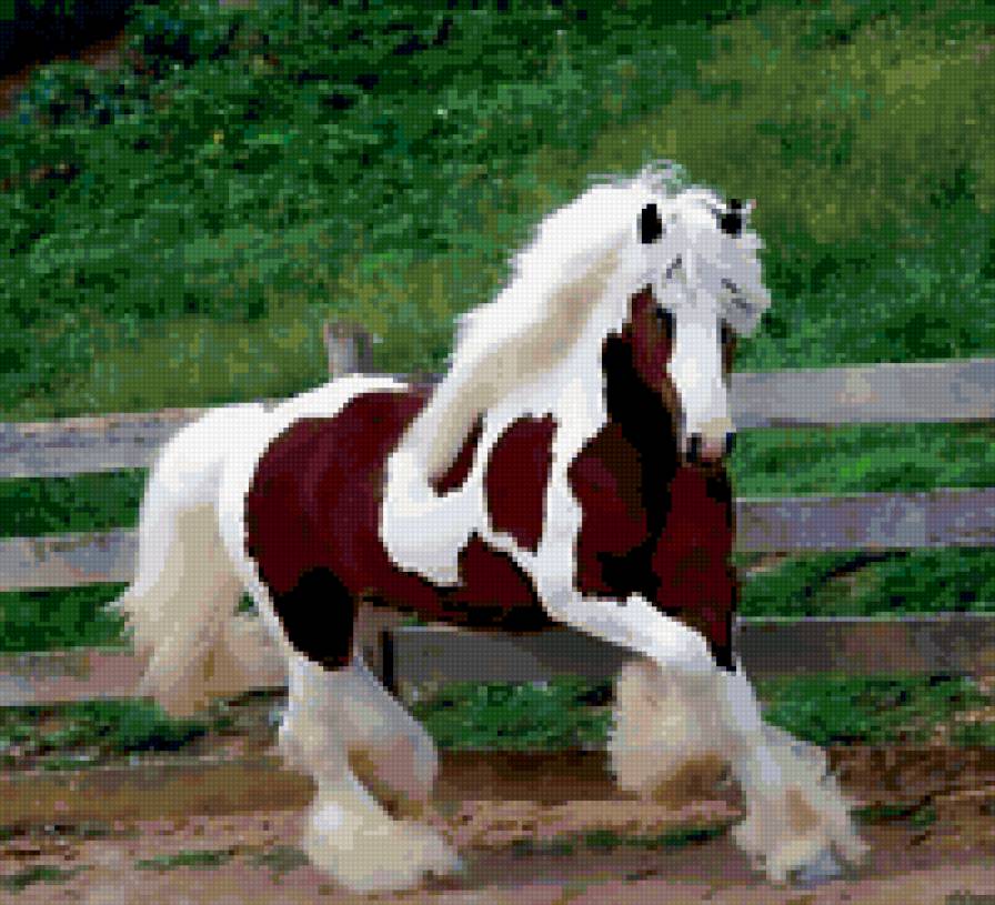необычный конь - лошади - предпросмотр