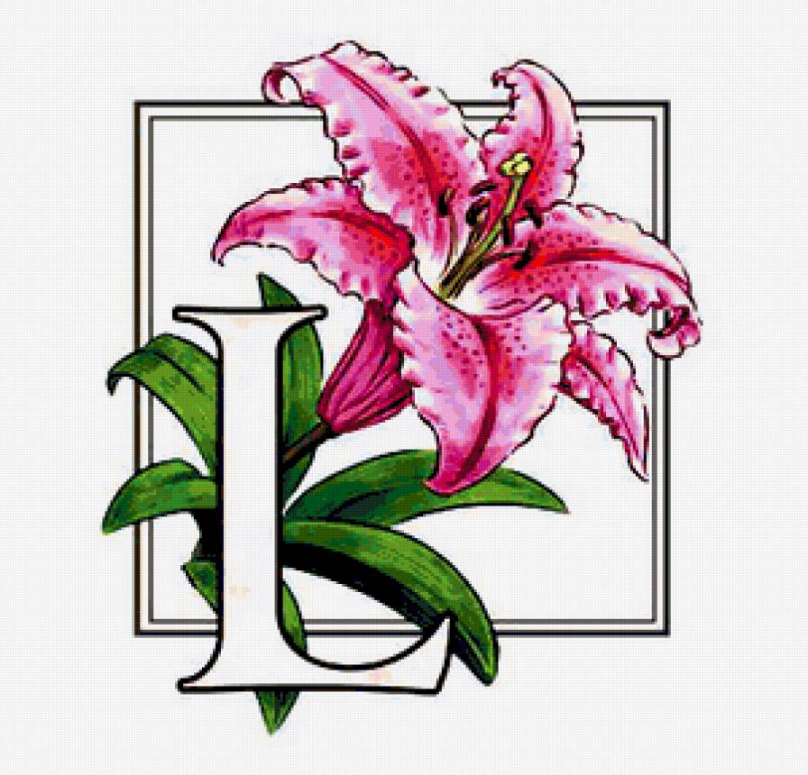 Лилия - лилии, цветы, цветок - предпросмотр