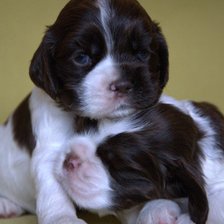 Схема вышивки «малыши»