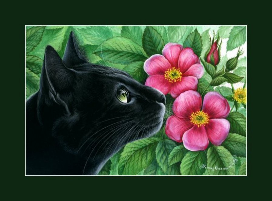 Кошки И. Гармашовой - цветы, кошка, кот - оригинал