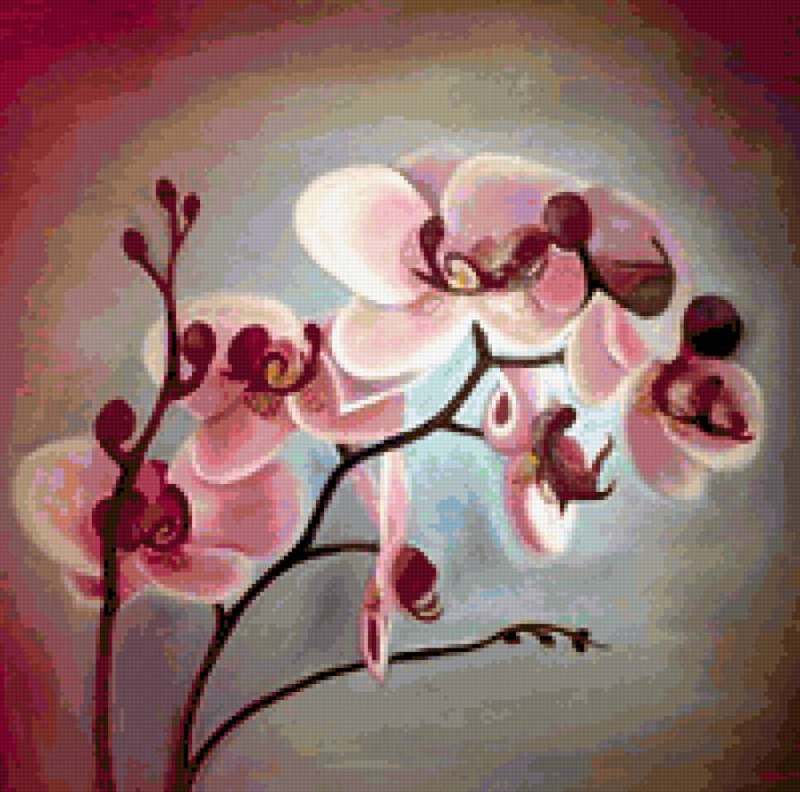 orhideya - orhideya - предпросмотр