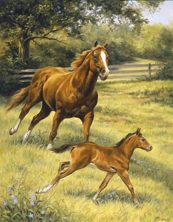 0125 - красота, кони, жеребенок, лошадь, картина, животные, природа - оригинал