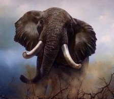 Схема вышивки «слон»