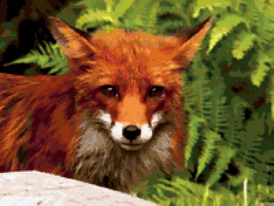 лис в папоротнике - лиса, животные, лес - предпросмотр