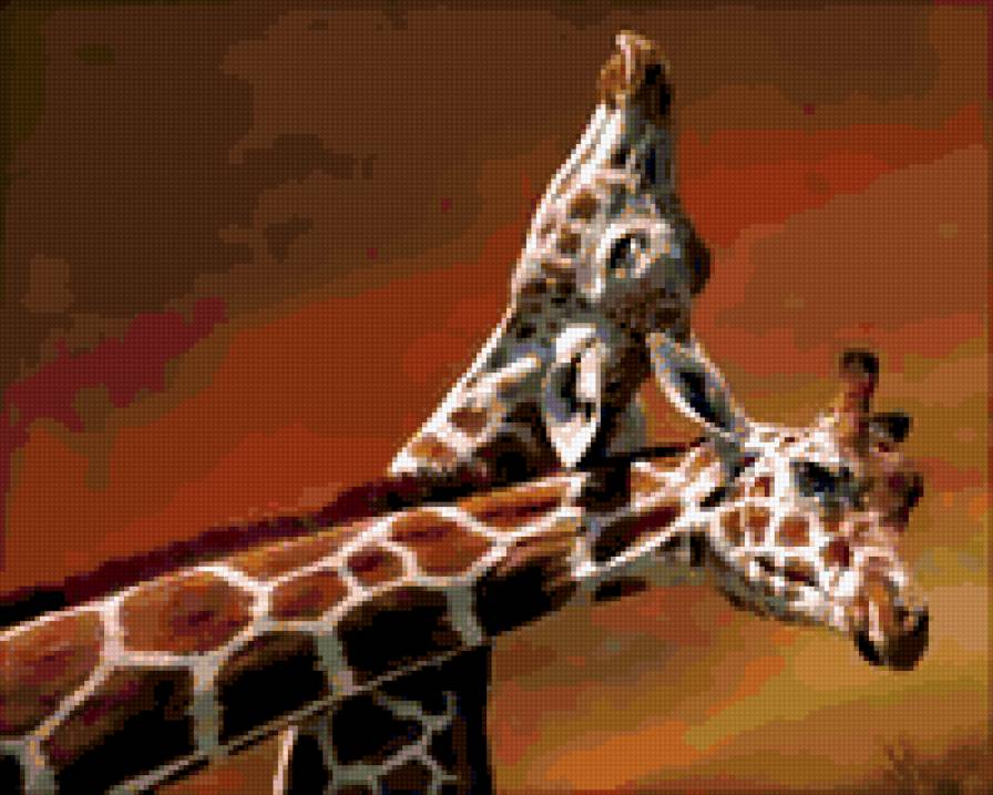 два жирафа - животные, жирафы, африка - предпросмотр