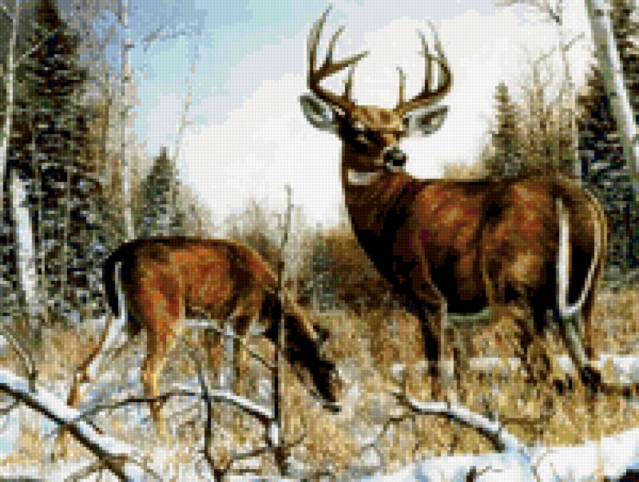 олени в лесу - животные, лес, олени - предпросмотр