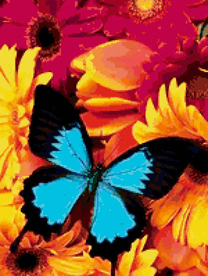 Красавица - бабочки, цветы - предпросмотр