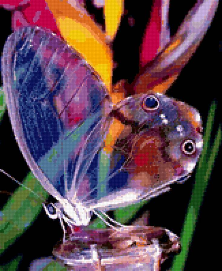 Прозрачная - цветы, , бабочки - предпросмотр