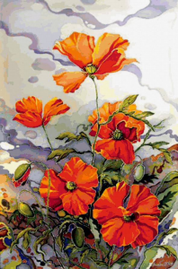 маки - цветы - предпросмотр