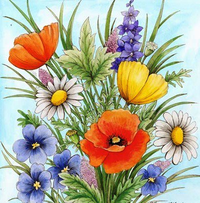 Букет полевых цветок - васильки, маки, флора, ромашки, цветы, полевые цветы, букет - оригинал