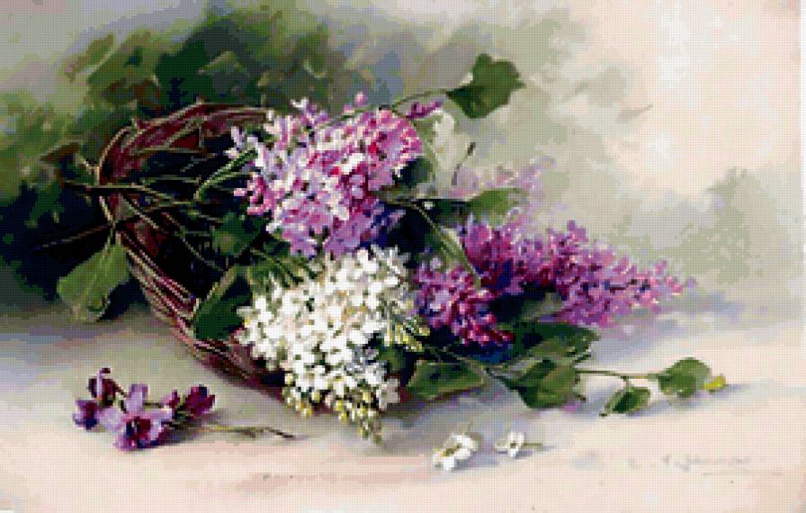 Сирень - предпросмотр