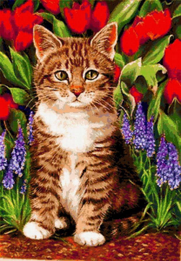 Серия "Кошки" - букет, цветы, животные, мускари, кошки, тюльпаны - предпросмотр