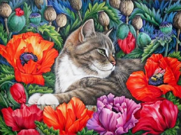 Серия "Кошки" - маки, букет, кошки, цветы, животные - оригинал