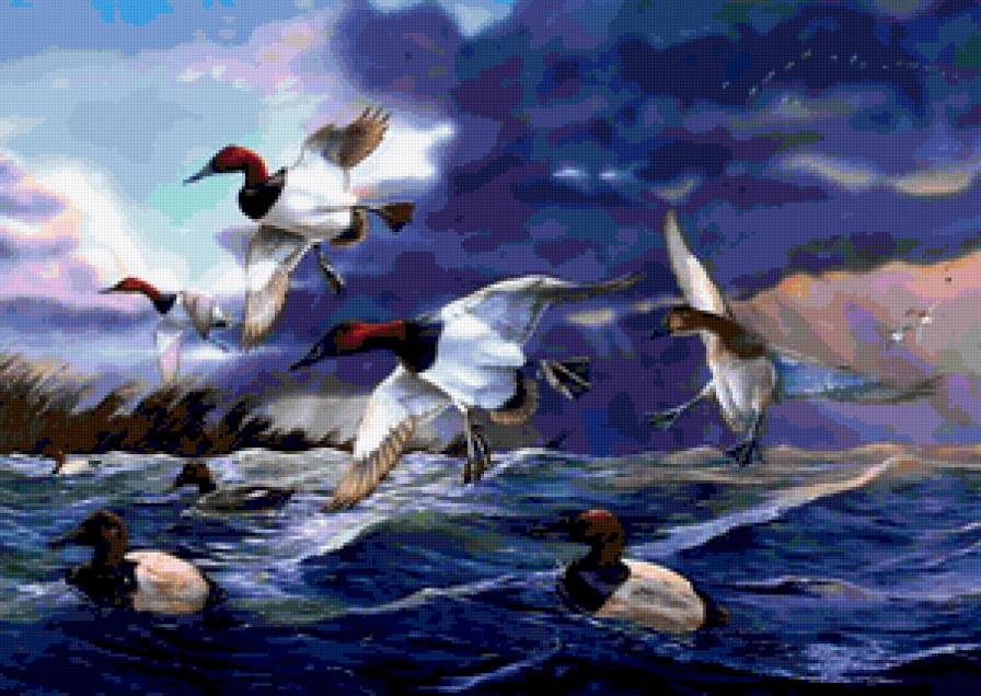 №396159 - медведи, олени, охота, волки, птицы, орлы, утки, дикая природа - предпросмотр