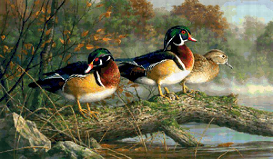 №396165 - медведи, волки, олени, птицы, утки, орлы, охота, дикая природа - предпросмотр