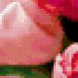 Предпросмотр схемы вышивки «Розовые тюльпаны» (№396528)