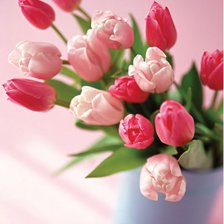 Оригинал схемы вышивки «Розовые тюльпаны» (№396528)