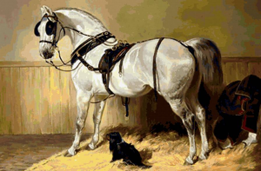 Лошадь и такса - лошадь, собака, животные - предпросмотр