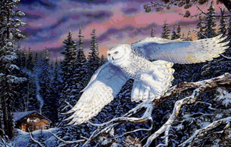 Сова - пейзаж, сова - предпросмотр