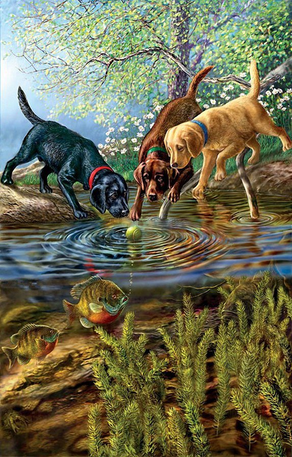 №396821 - утки, волки, орлы, олени, медведи, птицы, охота, дикая природа - оригинал