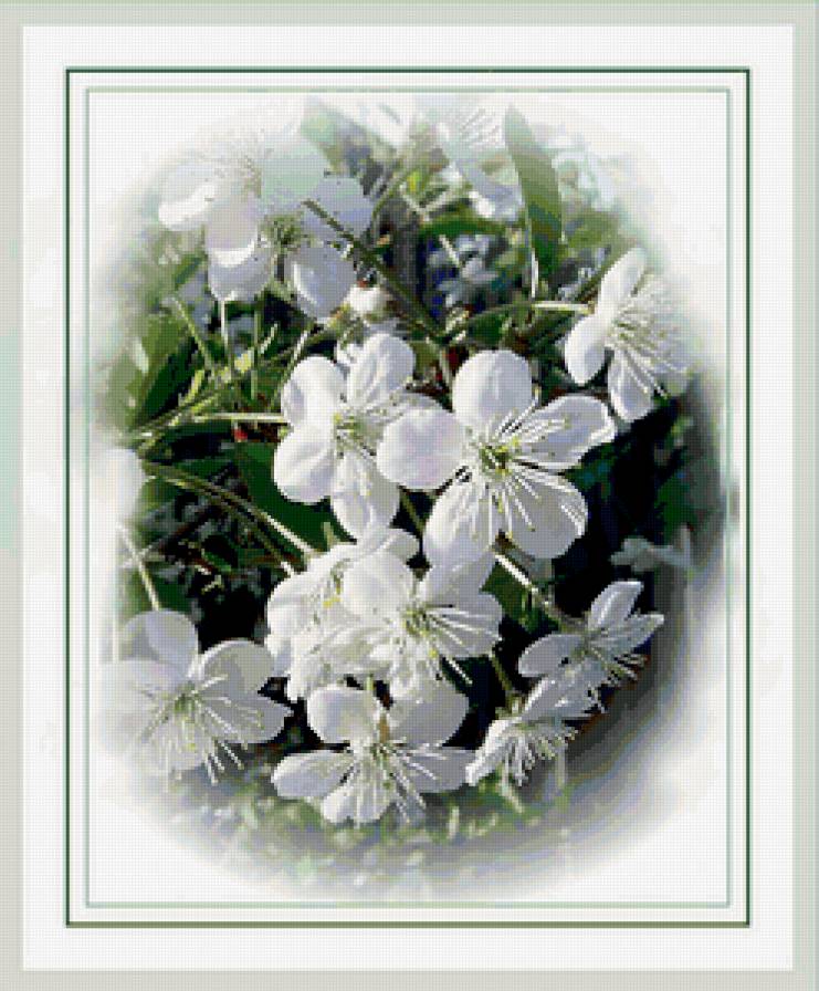 вишня - подушка, весна, вишня, цветы - предпросмотр