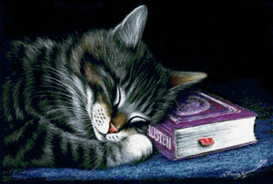 Сказка на ночь - книга, кот, кошка - предпросмотр
