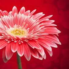 Схема вышивки «№397013»