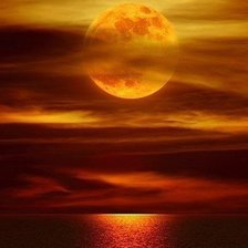 Схема вышивки «№397079»