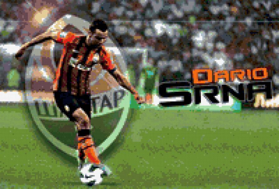 Дарио - предпросмотр